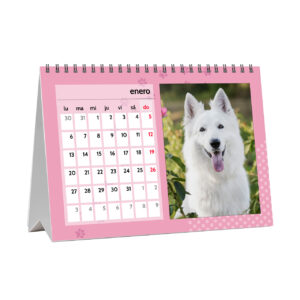 Calendario de sobremesa a5 (21x15 cm) | i-moments