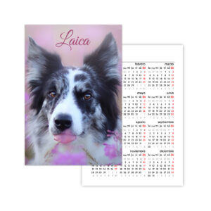 Calendario de bolsillo personalizado | i-moments