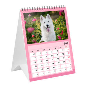 A5 desktop calendar (15x21 cm) | i-moments
