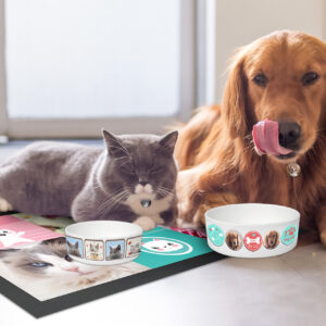 Catifa personalitzada per a mascotes | i-moments